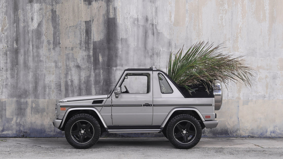 SS23 RESORT - LOOK BOOK